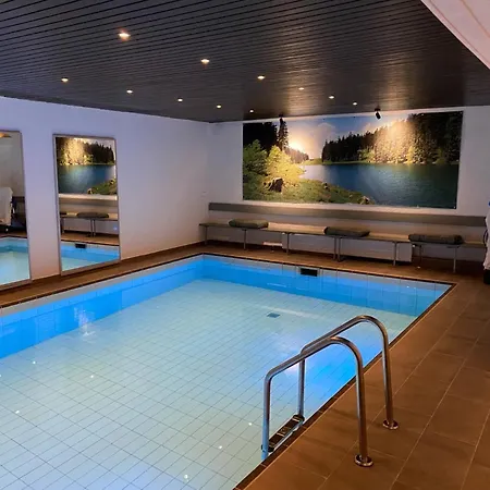 Отель Haus Am Hochwald 3*