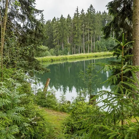 Отель Haus Am Hochwald