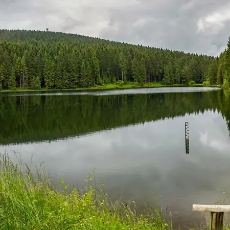 Отель Haus Am Hochwald Гослар