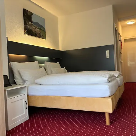 Haus Am Hochwald 3* 고슬라르