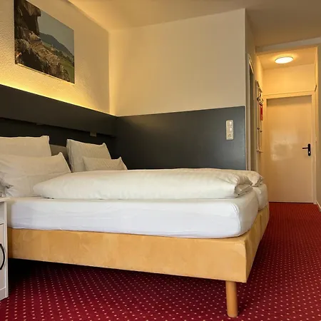 Haus Am Hochwald 호텔 3*