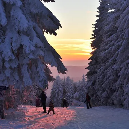 Haus Am Hochwald Отель