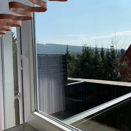 Haus Am Hochwald 호텔 고슬라르