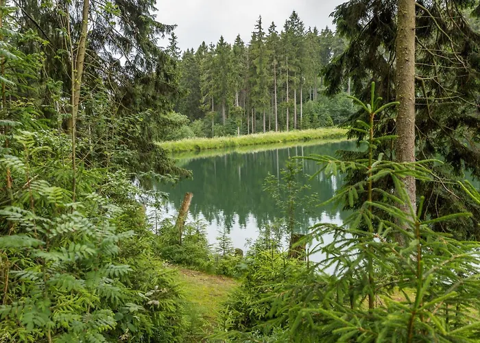 Hotel Haus Am Hochwald